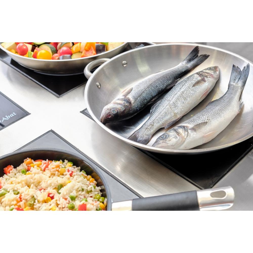 Индукционная плита ABAT КИП-49П-5,0-01 (независимые индукторы)